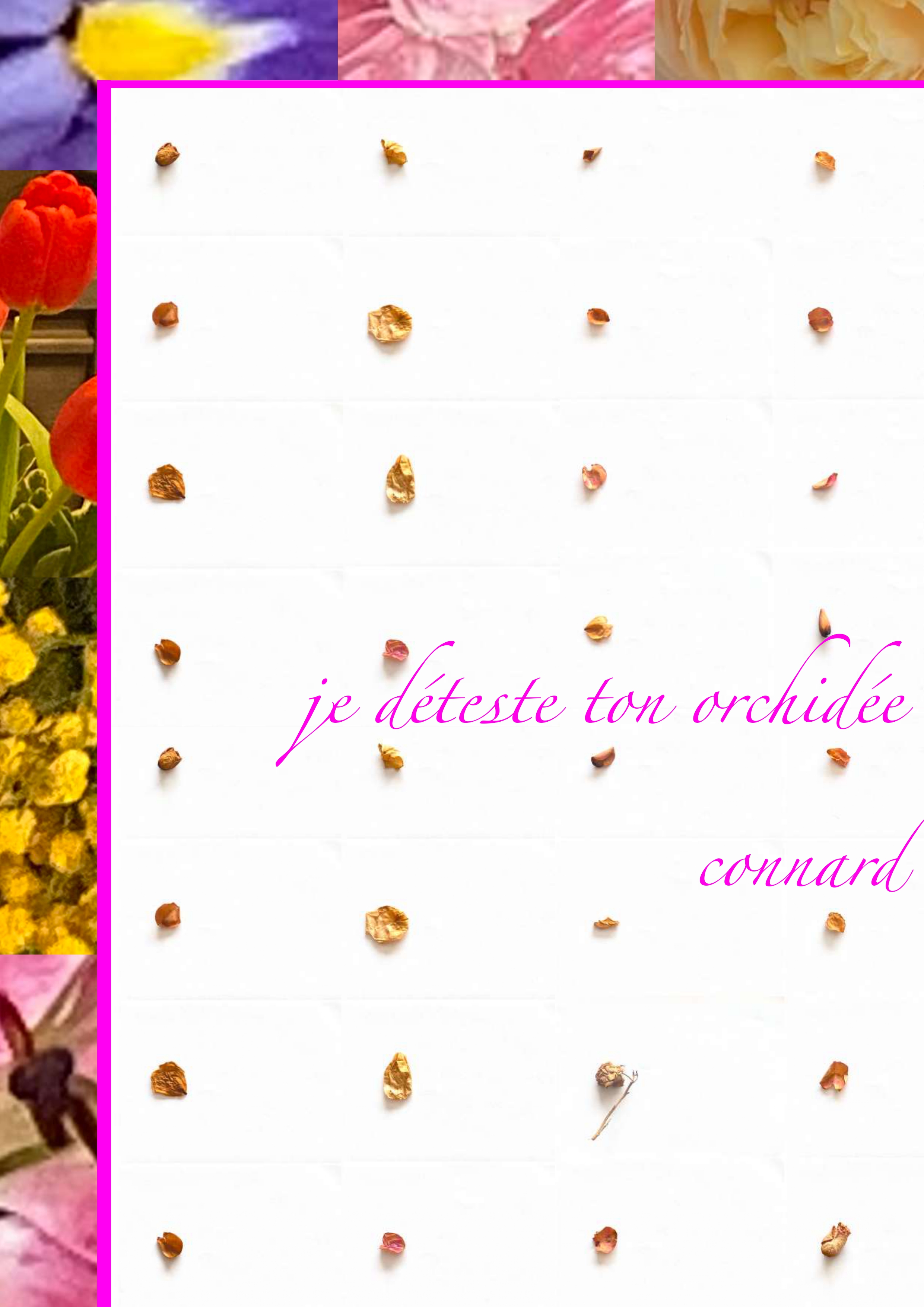 Première page du PDF